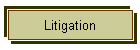 Litigation